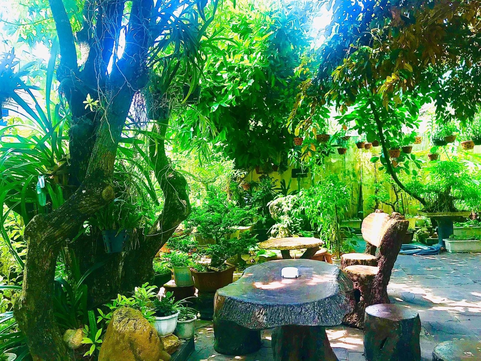 Pebble Homestay Hoi An Exterior photo